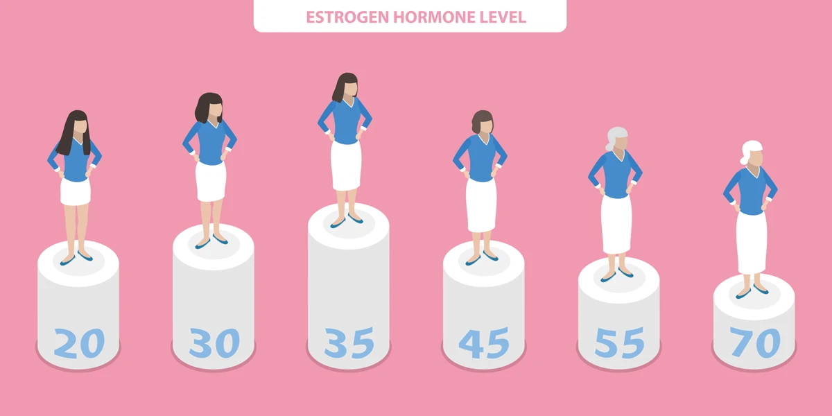 加齢によって性腺機能が低下する時期が更年期