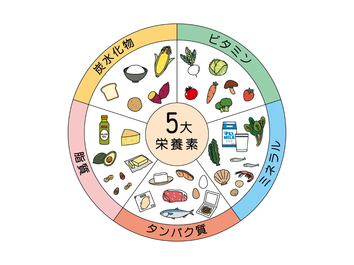 5 つの主要栄養素